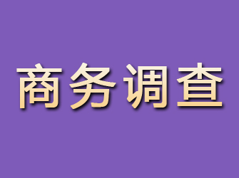 涿鹿商务调查